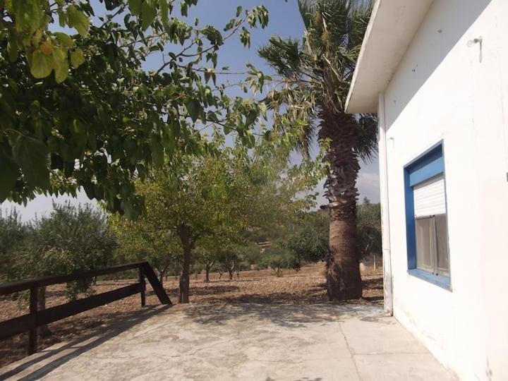 Villa La Casina Bianca Seccagrande  Exterior foto
